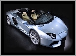 Aventador, Roadster, Lamborghini, LP 700-4